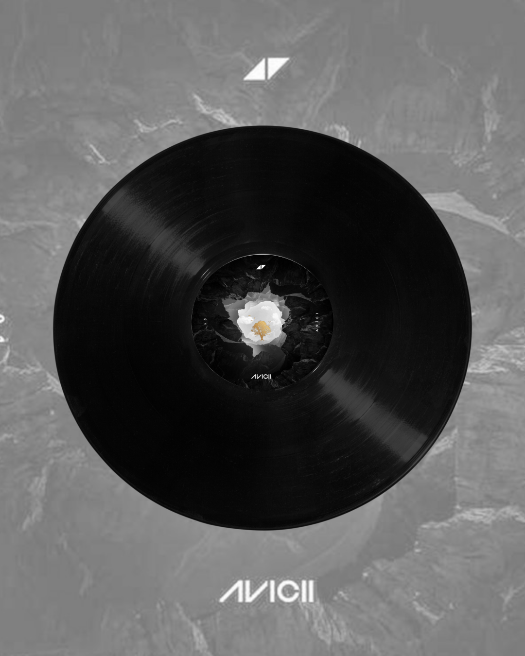VINYL RECORDS -AVICII- AVICI