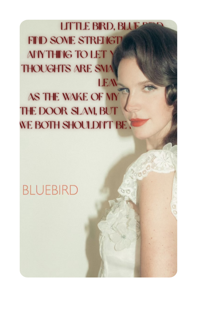 POLAROID- LANA DEL REY- BLUEBIRD