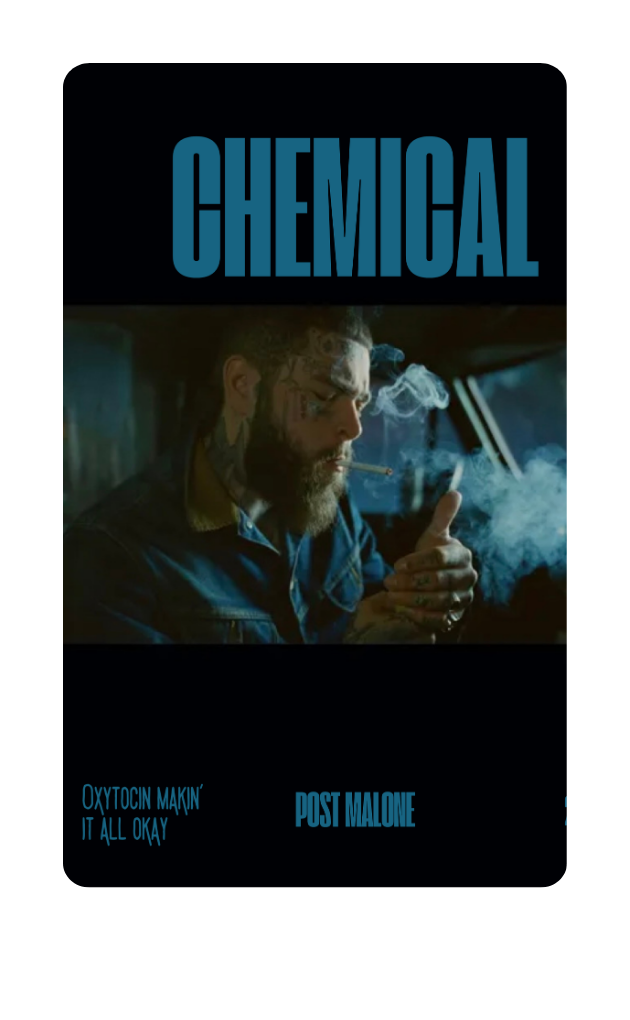 POLAROID-POST MALONE-CHEMICAL